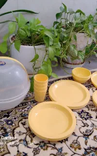 سرویس مسافرتی