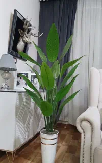 آف ویژه پرنده بهشتی مصنوعی فقط۲۵۰۰