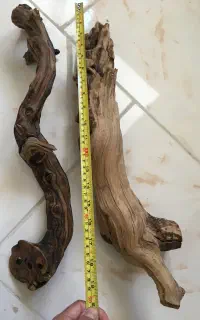ابنوس چوب اکواریوم