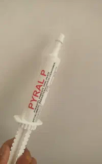 خمیر انگل اسب