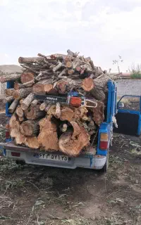 خرید درخت و چوب بام با قیمت بالا و هرسکاری
