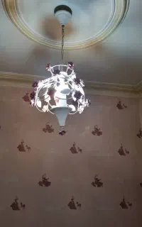 دوعدد لوستر