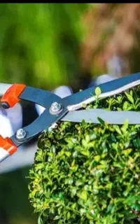 انجام کلیه امورات فضای سبز مشاوره،طراحی،اجرا