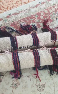 کون و ور سینه اسب کوهان