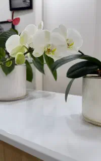 استخدام نیروی خانم جهت کار منزل و پرستاری کودک