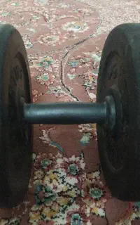 دمبل
