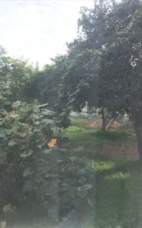 مشارکت در زمین سیاه اسطلخ