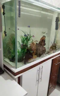 آکواریوم به همراه میز