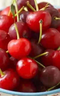 البالو درجه یک