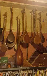 دوتار کاسه بزرگ رضایی