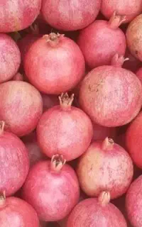 انار درجه ۱منطقه  تنگ سیاو