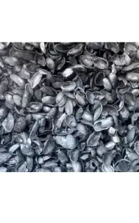 فروش کربن پوست پسته