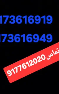 9173616919
