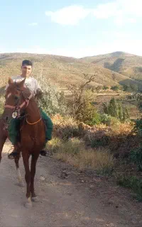 اسب رنگ قهوه ای