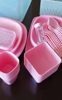ظروف پذیرایی پیک نیک