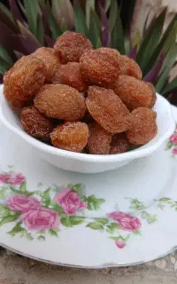 آلوخورشتی