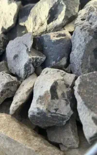کاربیت