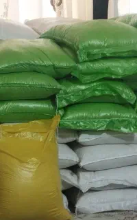 برنج هاشمی و کاضمی