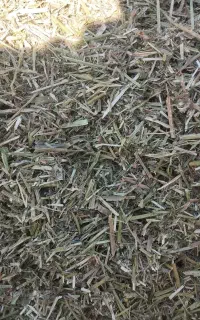 یونجه خرد شده درج یک
