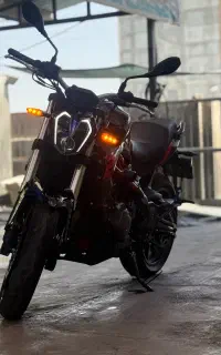 بنلی ۳۰۰