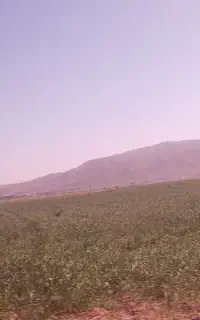 نیرو افغانی افغانی اتباع