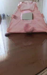 چادر عروسک