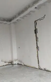 نیاز به شاگرد گچکاری