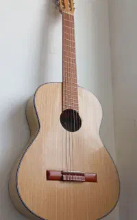 گیتار مهتاپور