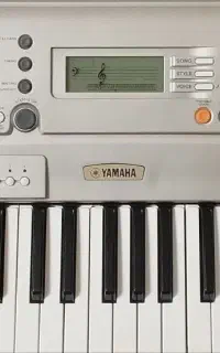 ارگ نو a300