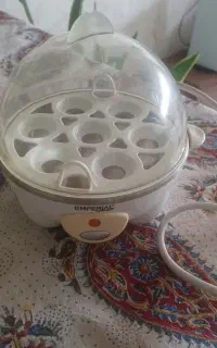 تخم مرغ پز