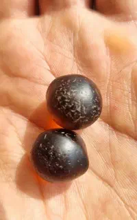 مهره زیر خاکی کهنه کهنه