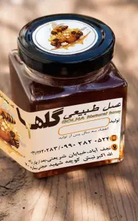 تیم طراحی و گرافیست
