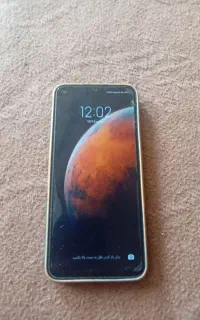گوش