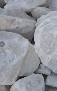 سنگ نمک دامی