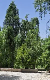 نیازمند سرایداری ویلا
