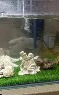 اکواریوم بزرگ شیشه خم