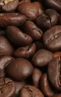 قهوه درجه ۱