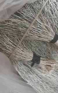 باسلام جارو لری وشهری برای فروش