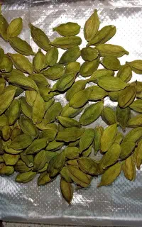 عطاری » هل زیر قیمت بازار هر ۱۰ گرم ۱۲۰ تومان