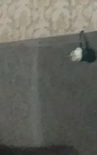 تلویزیون ۴۹