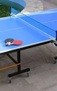 تولید کننده میز های پینگ پنگ   p60