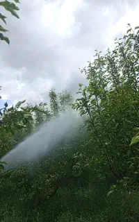 سم پاشی باغات