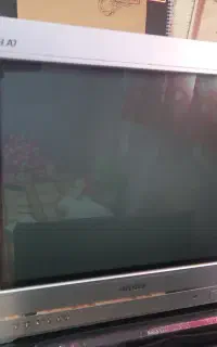 تلویزیون ۲۱ ابنچ،اسنوا