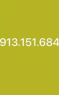 09131516845
