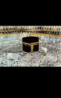 فیش حج عمره فروشی