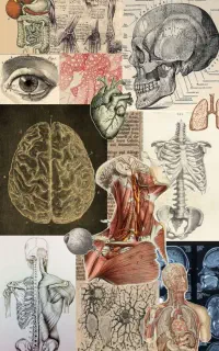 آموزش حضوری زیست شناسی