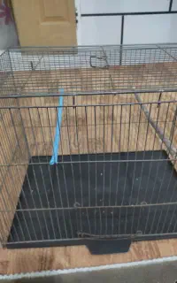 قفس پرنده