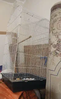 قفس