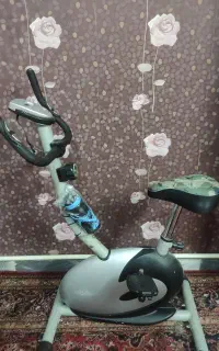 دوچرخه ثابت