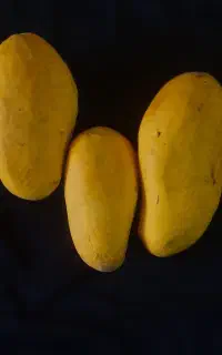 انبه